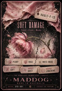 SOFT DAMAGE