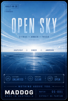 OPEN SKY