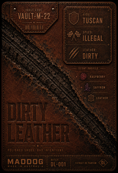 DIRTY LEATHER
