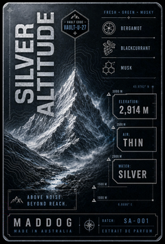 SILVER ALTITUDE