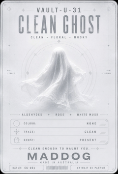 CLEAN GHOST
